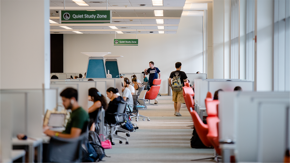 Students working in library.