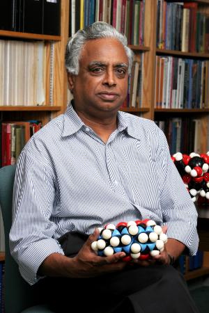 V. Ramamurthy, professor of chemistry