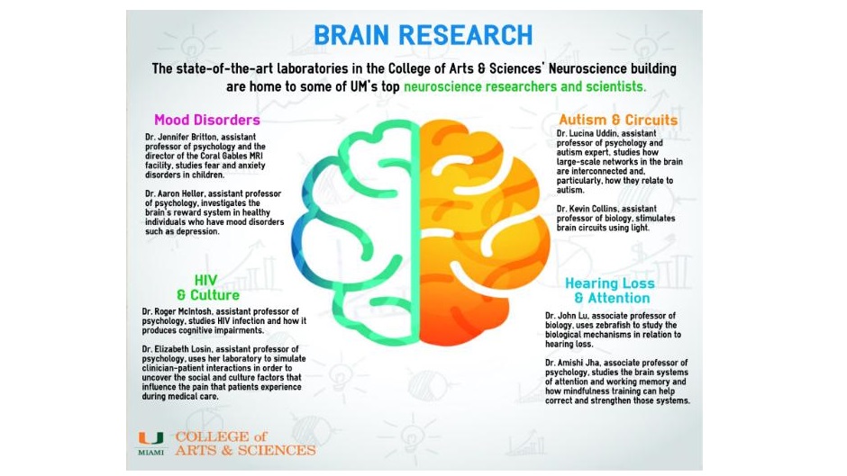 key researchers to the study of the brain