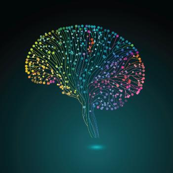 researchers study brain activity fMRI scans 