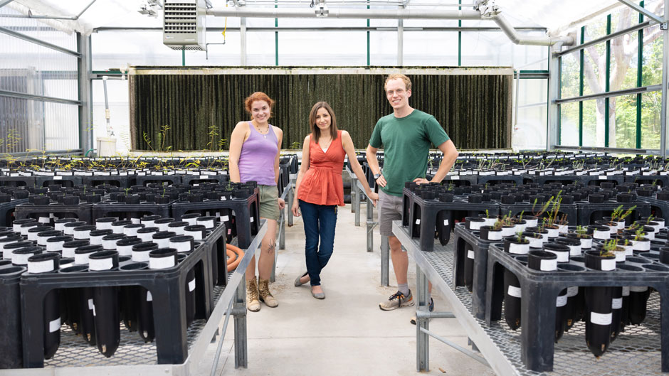 Gwen Pohlmann, Michelle Afkhami, and Joshua Fowler in the University of Miami Greenhouse. Photo: Joshua Prezant/University of Miami