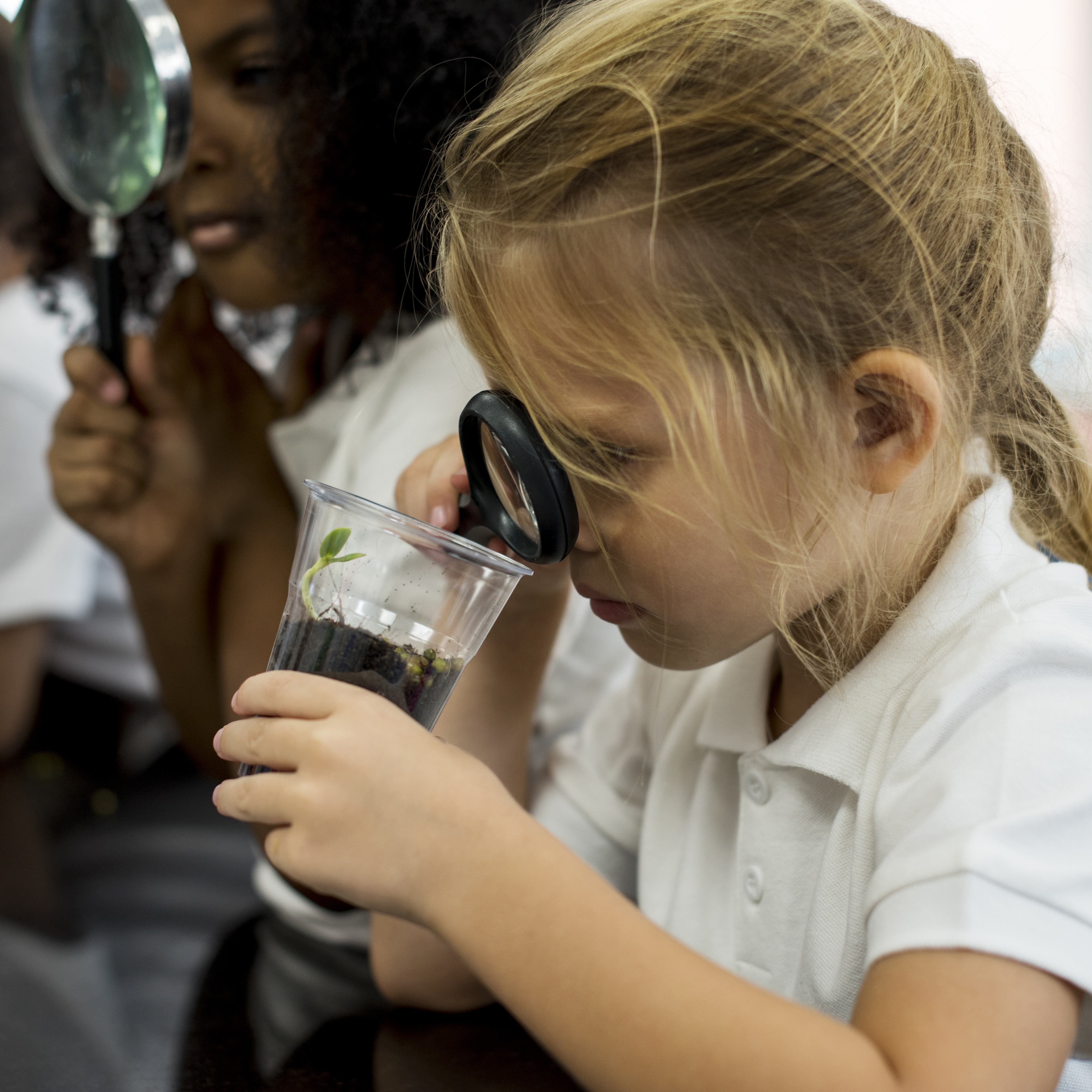 ‘Hands-on, minds-on’ learning: Revolutionizing early science education 