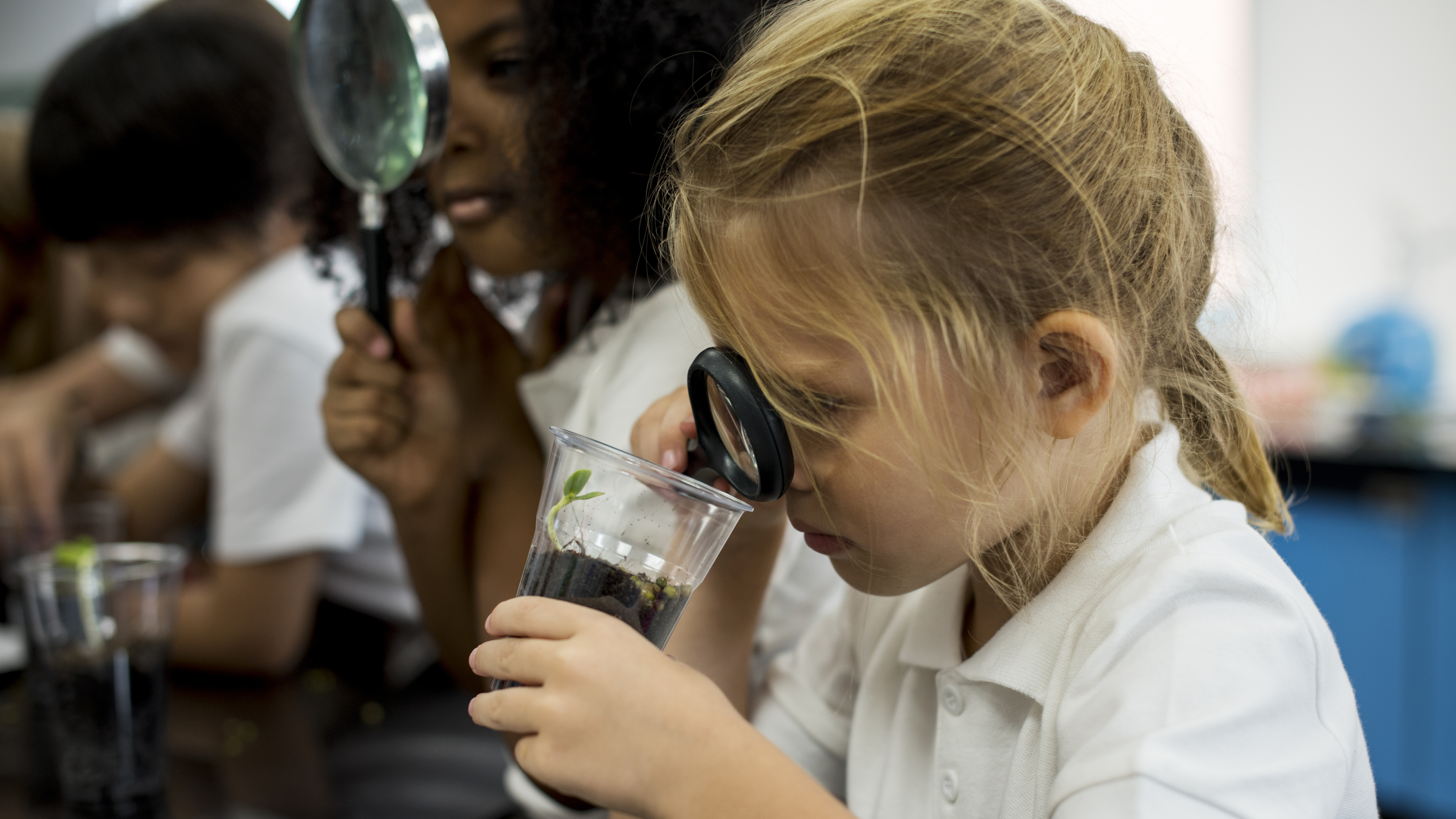 ‘Hands-on, minds-on’ learning: Revolutionizing early science education