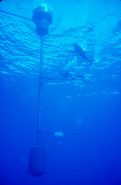 Divers perform maintenance operations on the MOBY buoy