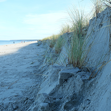 dune eroded after beach storm 