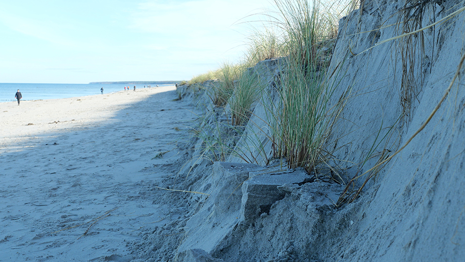 dune eroded after beach storm