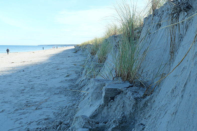 dune eroded after beach storm 