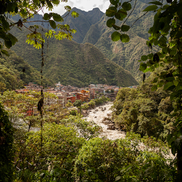 Town in a rainforest
