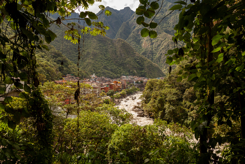 Town in a rainforest