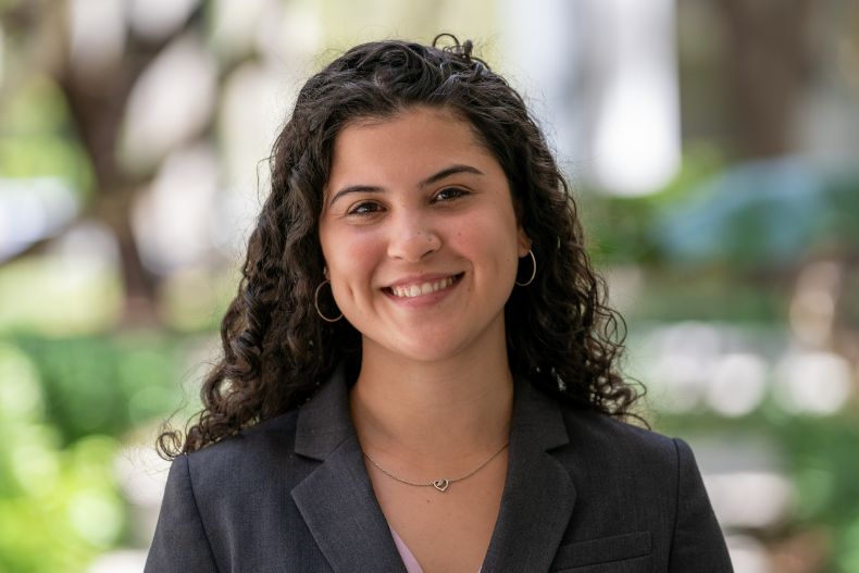 Third-year law student serving on large nonprofit advisory committee