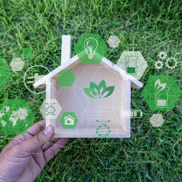 Navigating Green Building Regulations and Compliance with an M.L.S.