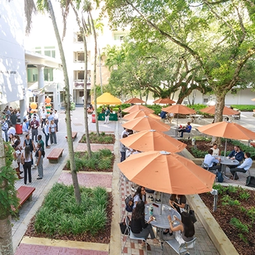 Designing the Future: Miami Law pioneers AI prompt question for 2026 applicants