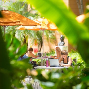 Writing Law School Personal Statements in the Age of AI 