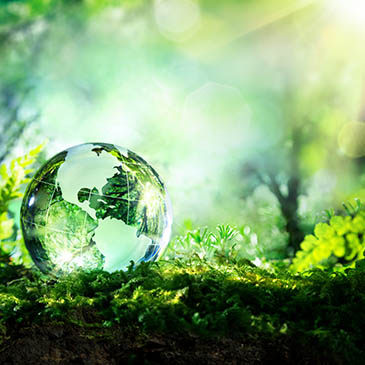Miami Herbert’s Annual Sustainable Business Conference to focus on ESG