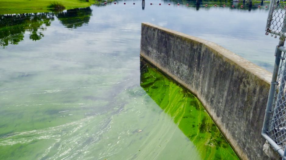 Face masks protect against aerosolized toxins from algal blooms study finds
