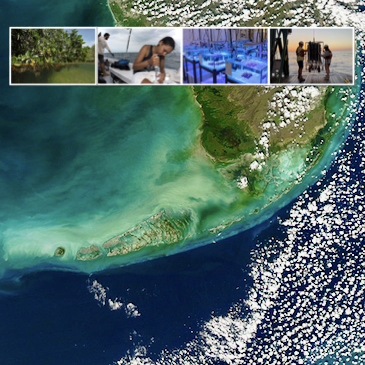 university-of-miami-receives-1.8m-noaa-grant-to-study-south-floridas-coastal-ecosystems 