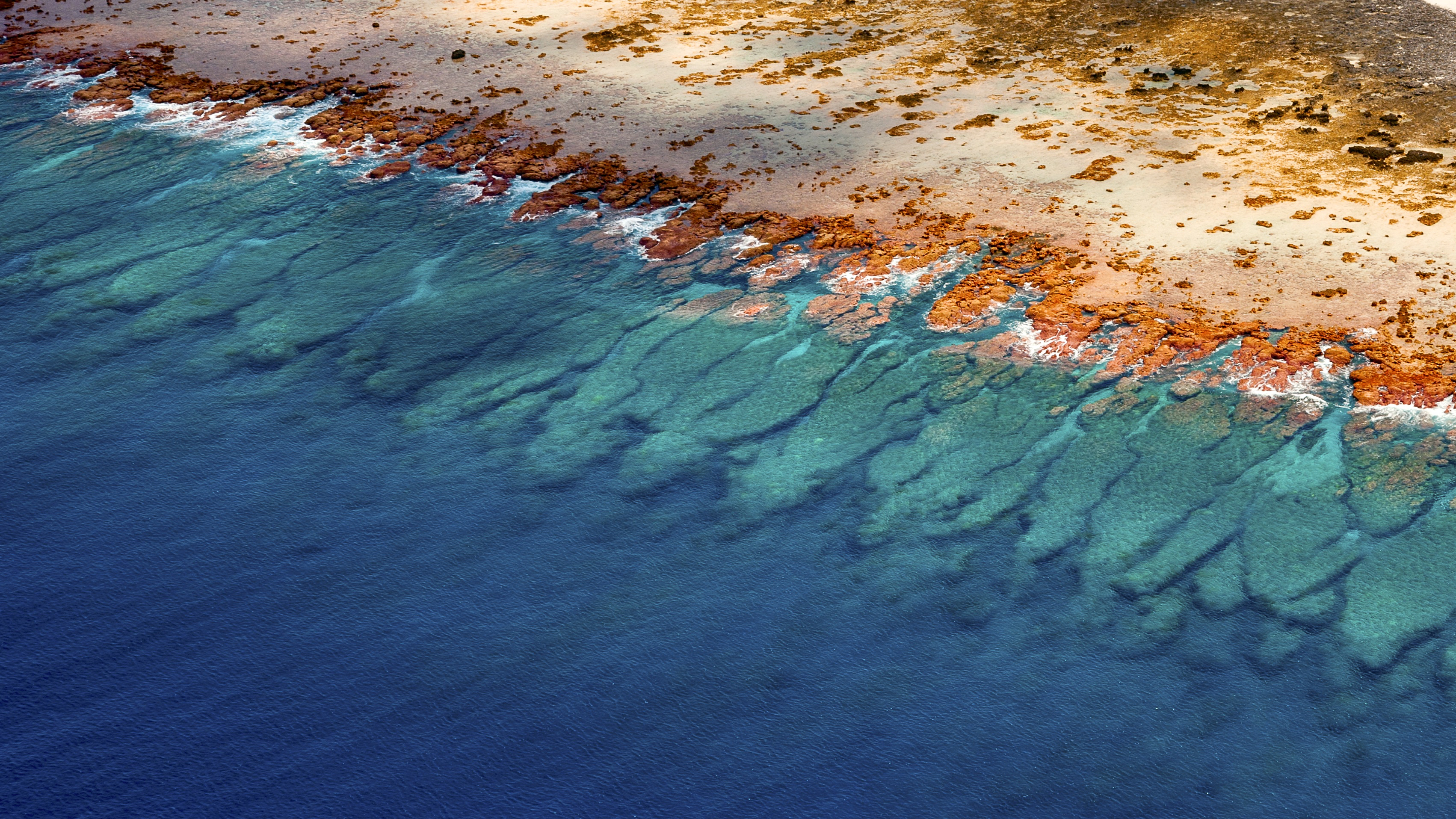  Scientists create largest collection of coral reef maps ever made