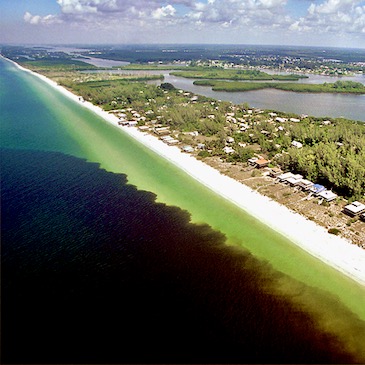 New study links Red tides and dead zones off West coast of Florida