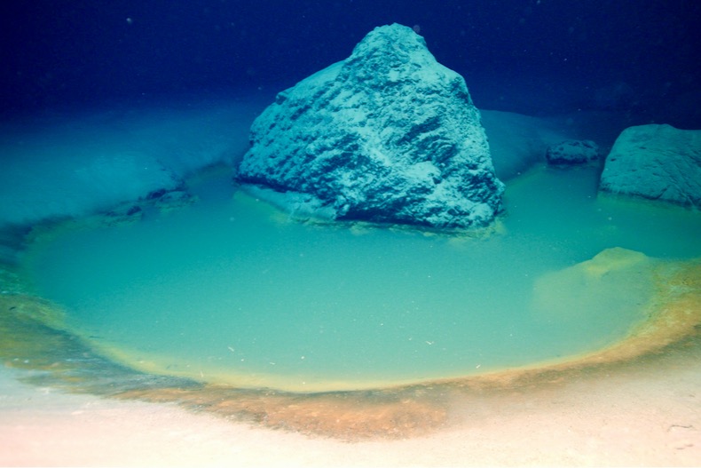 Rare deep-sea brine pools discovered in Red Sea 